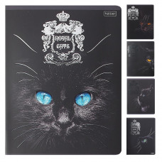 ТЕТРАДЬ 48Л КЛЕТКА "ROYAL CATS" ТЕТРАДЬ 48Л КЛЕТКА "ROYAL CATS"