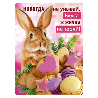 МАГНИТИК ВИНИЛОВЫЙ  "НИКОГДА НЕ УНЫВАЙ"