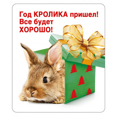 МАГНИТИК ВИНИЛОВЫЙ  "ГОД КРОЛИКА ПРИШЕЛ!"