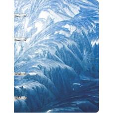 ТЕТРАДЬ НА КОЛЬЦАХ 100 ЛИСТОВ КЛЕТКА А5 "ИНЕЙ"