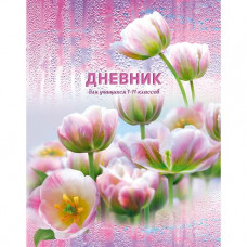 ДНЕВНИК УНИВЕРСАЛЬНЫЙ "BG"