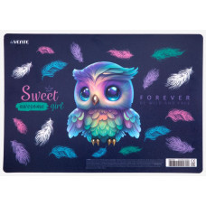 ПОКРЫТИЕ НА СТОЛ А4+ "HAPPY OWL" ПЛАСТИК 33*23СМ ПОКРЫТИЕ НА СТОЛ А4+ "HAPPY OWL" ПЛАСТИК 33*23СМ