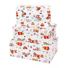 КОРОБКА ДЛЯ УПАКОВКИ ПОДАРКА ПРЯМОУГ 23*16*9,5СМ MILAND