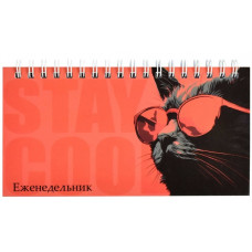 ЕЖЕНЕДЕЛЬНИК ГОРИЗОНТАЛЬНЫЙ "КОТ В ОЧКАХ" ЕЖЕНЕДЕЛЬНИК ГОРИЗОНТАЛЬНЫЙ "КОТ В ОЧКАХ"