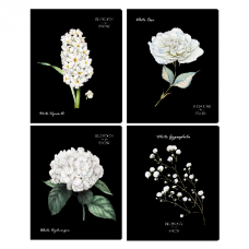 ТЕТРАДЬ  48Л КЛЕТКА "BLOSSOM IN SNOW"