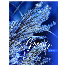 ТЕТРАДЬ НА КОЛЬЦАХ 120Л КЛЕТКА А5 "BLUE SERENITY" 