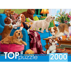 ПАЗЛЫ 2000 ЭЛЕМЕНТОВ TOP PUZZLE