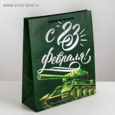 ПАКЕТ ПОДАРОЧНЫЙ 26*30*9СМ БРОНЯ КРЕПКА
