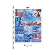 ТЕТРАДЬ 80Л КЛЕТКА А4 "КРАСКИ ДНЯ"