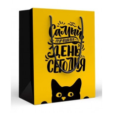ПАКЕТ ПОДАРОЧНЫЙ 18*22,7*10СМ "САМЫЙ ЛУЧШИЙ ДЕНЬ"