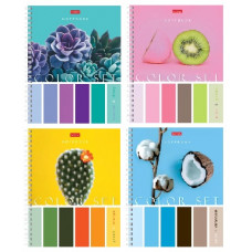 ТЕТРАДЬ 80Л КЛЕТКА "COLOR SET"