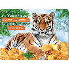 МАГНИТИК ВИНИЛОВЫЙ "ТИГР С МОНЕТАМИ"