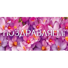 ОТКРЫТКА-КОНВЕРТ "ПОЗДРАВЛЯЕМ!" 9.0001561 ОТКРЫТКА-КОНВЕРТ "ПОЗДРАВЛЯЕМ!" 9.0001561
