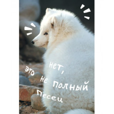 ЗАПИСНАЯ КНИГА "LISTOFF" А5 80Л 7БЦ ПАНТОН ГЛЯНЦЕВАЯ ЛАМИНАЦИЯ
