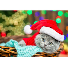 АЛМАЗНАЯ МОЗАИКА 30*40 СМ КОТИК В КОРЗИНЕ 28ЦВ АЛМАЗНАЯ МОЗАИКА 30*40 СМ КОТИК В КОРЗИНЕ 28ЦВ