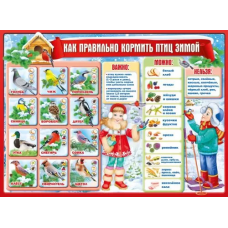 ПЛАКАТ ОБУЧАЮЩИЙ А2 " КАК ПРАВИЛЬНО КОРМИТЬ ПТИЦ ЗИМОЙ" 