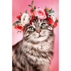 ОТКРЫТКА "КОШКА"