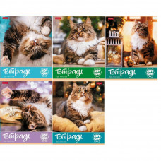 ТЕТРАДЬ 60Л КЛЕТКА "КОТ БОРИС"