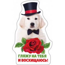 МАГНИТИК ВИНИЛОВЫЙ "ГЛЯЖУ НА ТЕБЯ.."
