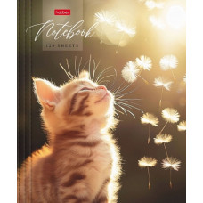 ТЕТРАДЬ НА КОЛЬЦАХ 120Л КЛЕТКА А5 "СОЛНЕЧНЫЙ КОТИК" 