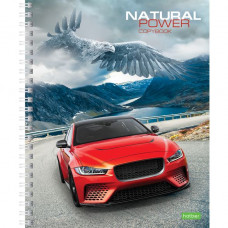 ТЕТРАДЬ  80Л КЛЕТКА "ECO. АВТОМОБИЛИ"
