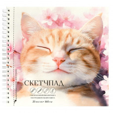 СКЕТЧПАД НА ГРЕБНЕ А5 20 Л 160Г/М2 "СПЯЩИЙ КОТ" ОФСЕТНАЯ БУМАГА