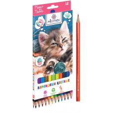 КАРАНДАШИ ЦВЕТНЫЕ "MEOW OR NEVER" 12 ЦВ