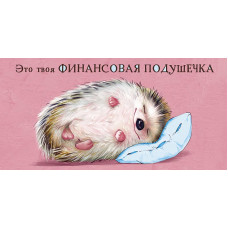 ОТКРЫТКА КОНВЕРТ АРТ ДИЗАЙН 0319.262 это твоя финансовая подушечка