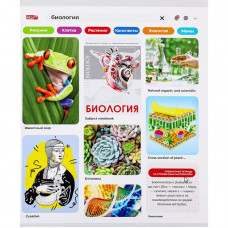 ТЕТРАДЬ ТЕМАТИЧЕСКАЯ 48Л "ЛИЧНЫЙ ПРОФИЛЬ" БИОЛОГИЯ