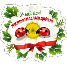 МАГНИТИК ВИНИЛОВЫЙ "УЛЫБАЙСЯ!.."