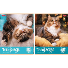 ТЕТРАДЬ 60Л КЛЕТКА "КОТ БОРИС"