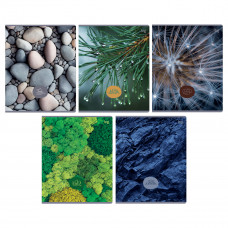 ТЕТРАДЬ 48Л КЛЕТКА "ДЕТАЛИ ПРИРОДЫ"