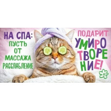 ОТКРЫТКА КОНВЕРТ "НА СПА. ПУСТЬ ОТ МАССАЖА РАССЛАБЛЕНИЕ ПОДАРИТ УМИРОТВОРЕНИЕ"