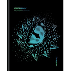 ДНЕВНИК УНИВЕРСАЛЬНЫЙ "BG"
