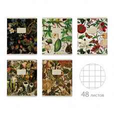 ТЕТРАДЬ 48Л КЛЕТКА "FLORA" ТЕТРАДЬ 48Л КЛЕТКА "FLORA"
