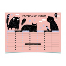 "РАСПИСАНИЕУРОКОВ" А3 ПИШИ-СТИРАЙ С МАРКЕРОМ