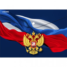 ПАПКА НА КНОПКЕ А4 150МКМ "ГЕРБ"