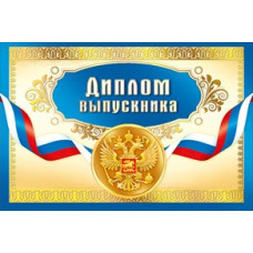 ДИПЛОМ ШКОЛА А5 ВЫПУСКНИКА 042.293 ДИПЛОМ ШКОЛА А5 ВЫПУСКНИКА 042.293