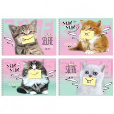 АЛЬБОМ ДЛЯ РИСОВАНИЯ НА ГРЕБНЕ 24 ЛИСТА "CAT'S SELFIE"  