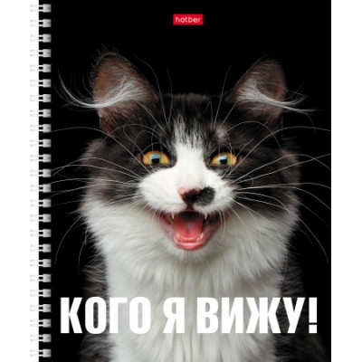 ТЕТРАДЬ 48Л КЛЕТКА "ПРИВЕТ"