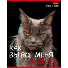 ТЕТРАДЬ 48Л КЛЕТКА "КАК ВЫ ВСЕ МЕНЯ БЕСИТЕ" ТЕТРАДЬ 48Л КЛЕТКА "КАК ВЫ ВСЕ МЕНЯ БЕСИТЕ"