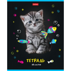 ТЕТРАДЬ 48Л КЛЕТКА "МУРчат КОТЫ"
