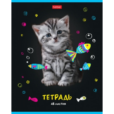 ТЕТРАДЬ 48Л КЛЕТКА "МУРчат КОТЫ"