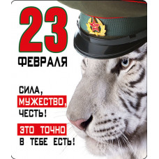 МАГНИТИК ВИНИЛОВЫЙ 23 ФЕВРАЛЯ "ПЕРВОМУ ВО ВСЁМ! РОССИЙСКАЯ СИМВОЛИКА"