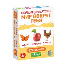 ОБУЧАЮЩИЕ КАРТОЧКИ "МИР ВОКРУГ ТЕБЯ" ОБУЧАЮЩИЕ КАРТОЧКИ "МИР ВОКРУГ ТЕБЯ"