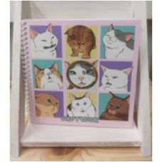 СКЕТЧБУК НА ГРЕБНЕ "КОТОМЕМЫ" СКЕТЧБУК НА ГРЕБНЕ "КОТОМЕМЫ"