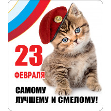 МАГНИТИК ВИНИЛОВЫЙ "САМОМУ ЛУЧШЕМУ И СМЕЛОМУ"