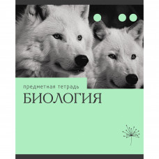 ТЕТРАДЬ ТЕМАТИЧЕСКАЯ 36 ЛИСТОВ "ЭРУДИЦИЯ БИОЛОГИЯ" 