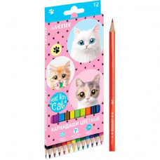 КАРАНДАШИ ЦВЕТНЫЕ "NEED MORE CATS" 2М 12 ЦВ