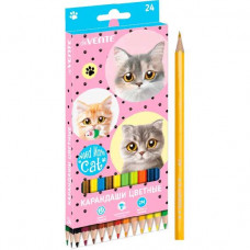 КАРАНДАШИ ЦВЕТНЫЕ "NEED MORE CATS" 2М 24 ЦВ